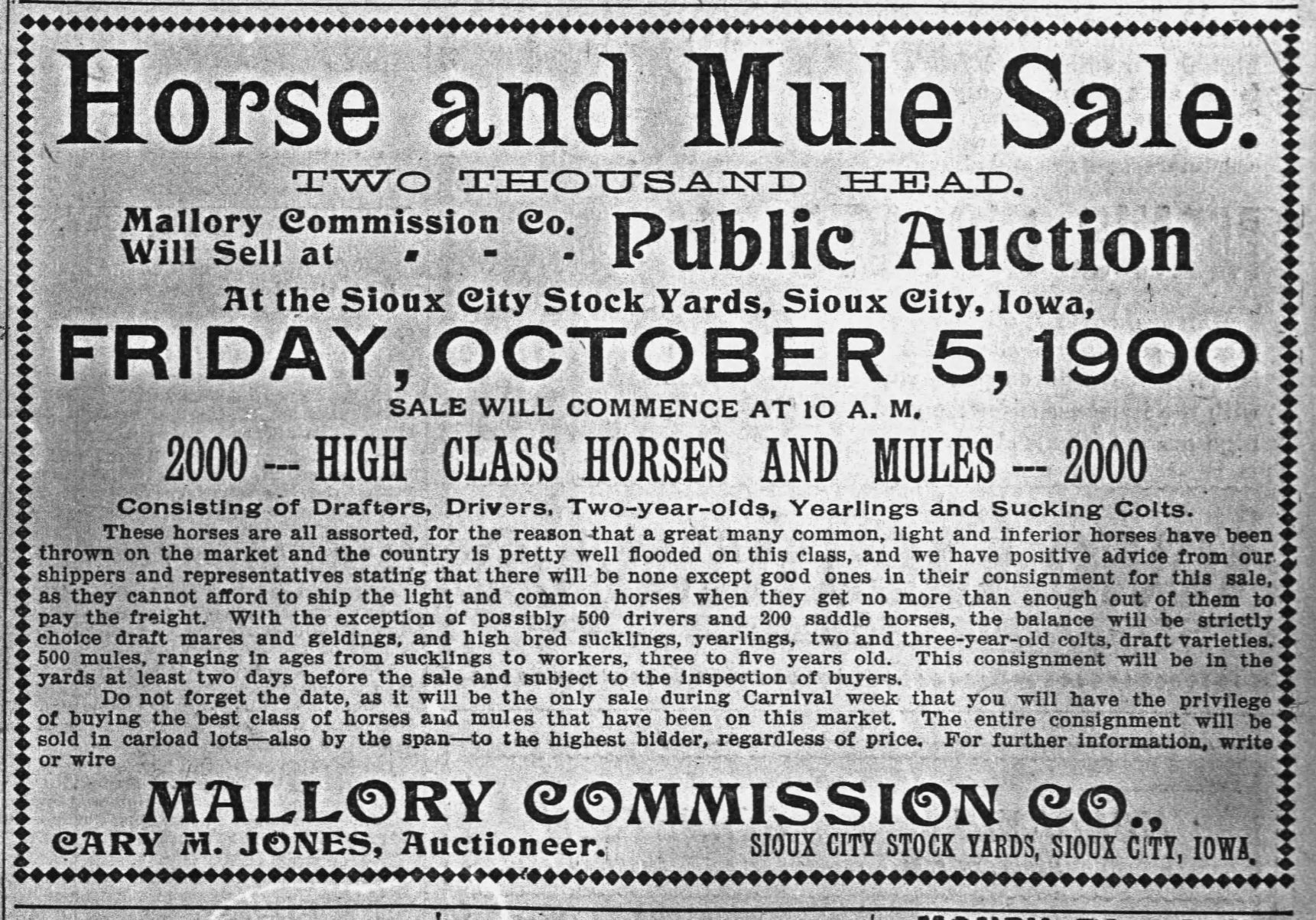 Sioux City Journal ads, Oct. 3 1900